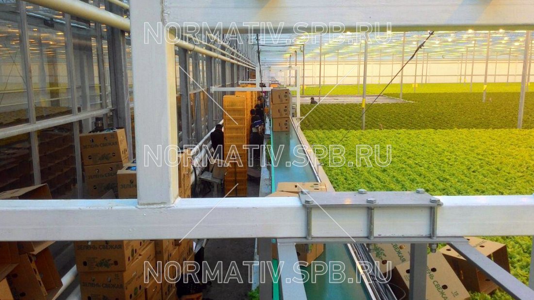 Ленточный подвесной конвейер для промышленной теплицы - изготовление и монтаж ООО Норматив