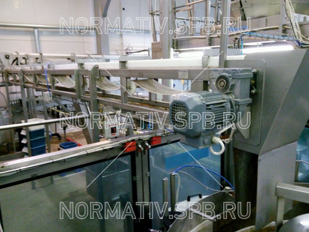 конвейерная система для фасовки и упаковки кормов для животных