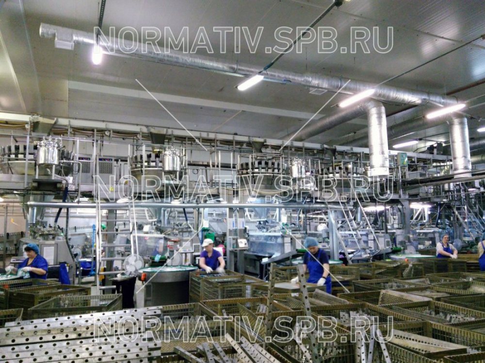 конвейерная система для изготовления и фасовки кормов для животных - производство от ООО Норматив
