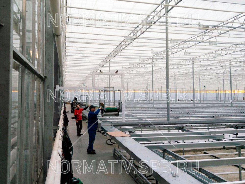 Монтаж конвейерного оборудования для транспортировки салатов из теплиц на склад
