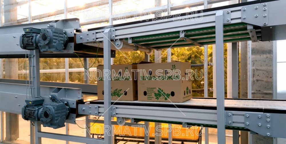 Модульные конвейеры для транспортировки коробок с зеленым салатом из теплиц на упаковку - ООО "Норматив"