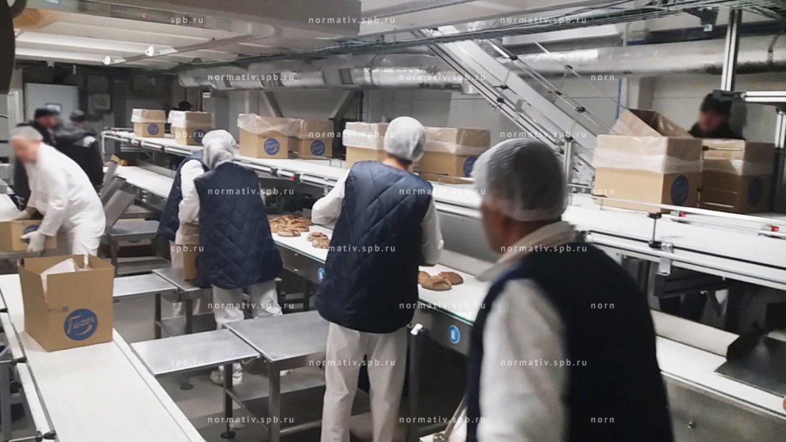 Система упаковки хлеба и булки на производстве