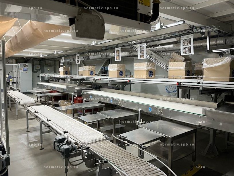 Автоматизированная система укладки хлеба и упаковки коробок -  конвейерное оборудование ООО Норматив
