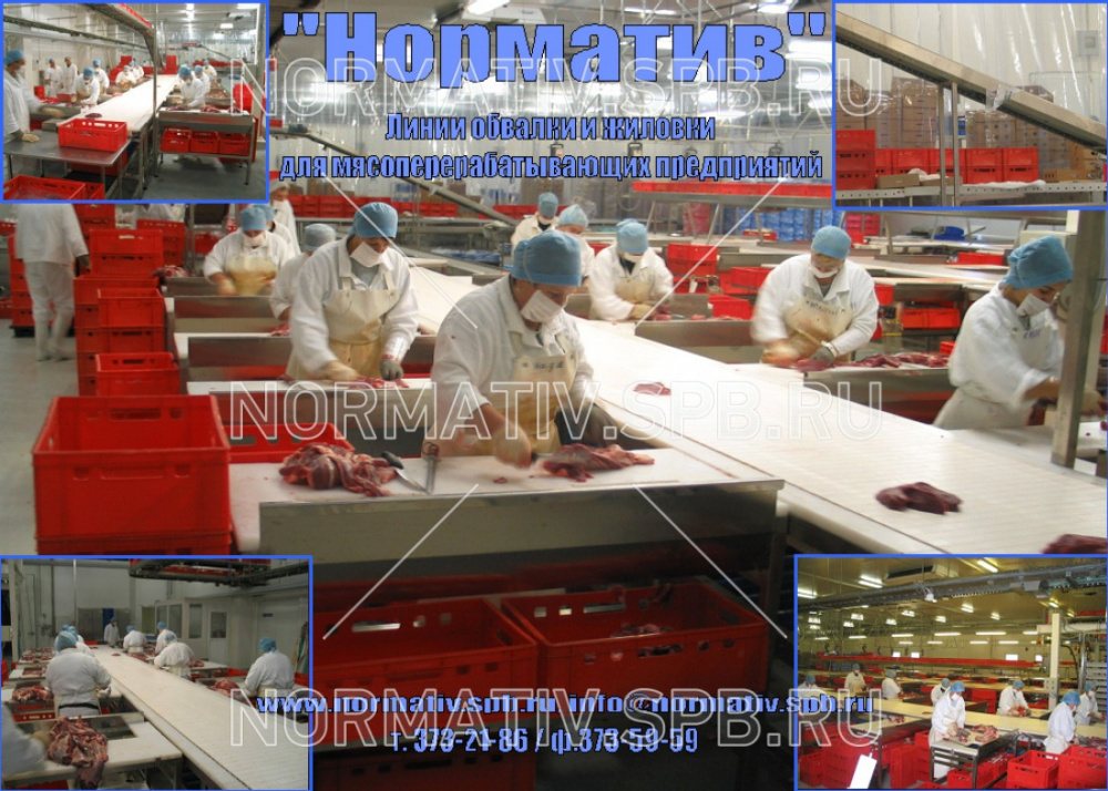 Конвейерная линия для обвалки и жиловки мяса от производителя ООО "норматив"